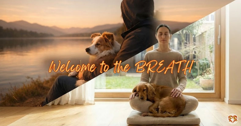 Spine and Breath Dog Training