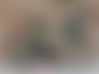 Specialized Allez Elite