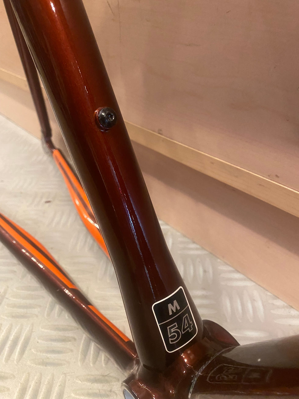 SL-A frame and fork size 54 CM at Ocean Cyclery