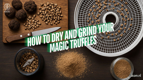 Top-down view of a truffle preparation setup, showing whole magic truffles, finely chopped pieces on a wooden cutting board with a knife, a dehydrator tray with small truffle chunks, a grinder with dried truffles inside, a pile of truffle powder, and a glass jar filled with powdered truffles. Overlaid text reads: 'How to Dry and Grind Your Magic Truffles' with a logo in the top left corner and a website link in the bottom right corner (iakom.nl).