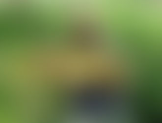 Il y a encore du beau poisson !