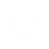 sound-therapy-sound-healing-washington-state