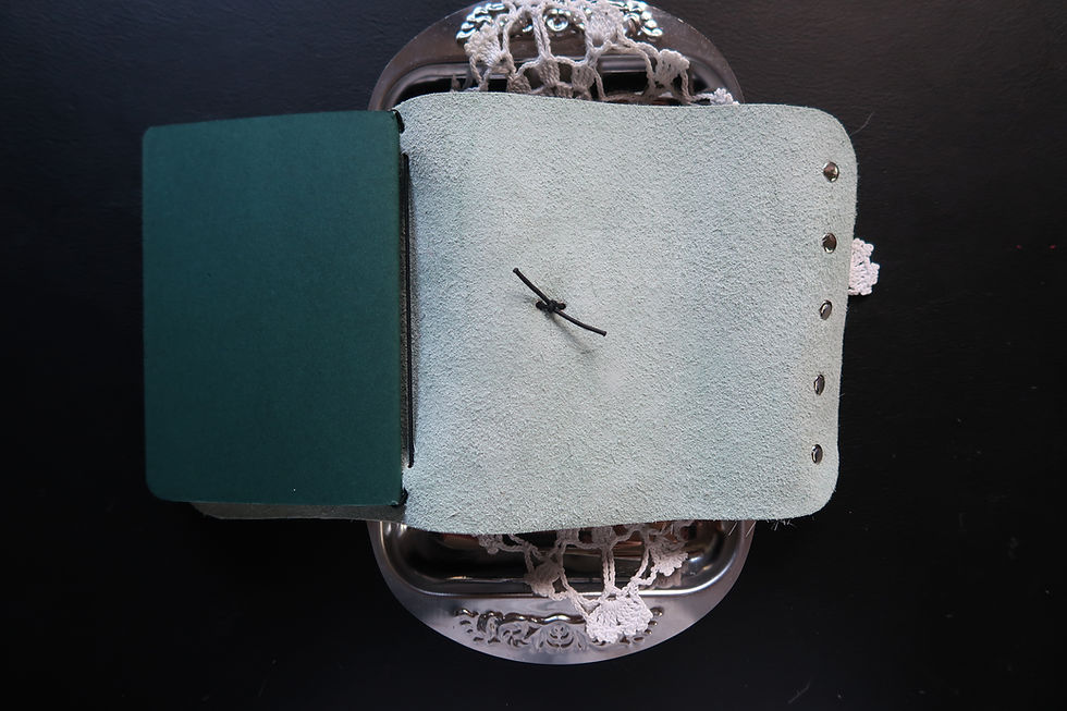 Miniaturbild: Kuhfell Journal 05
