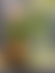 7月ご支援品 7/22