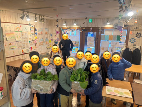大江小学校の子ども達が育てた、しろ菜 　1/23