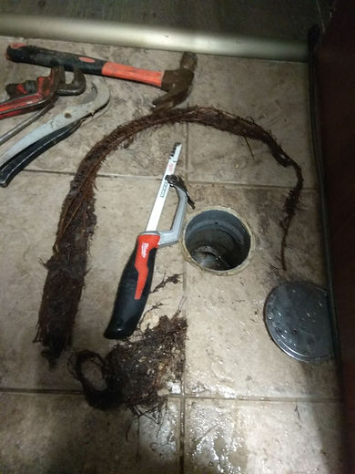פתיחת סתימת ביוב שנגרמה עקב שורשי עץ בראשון לציון