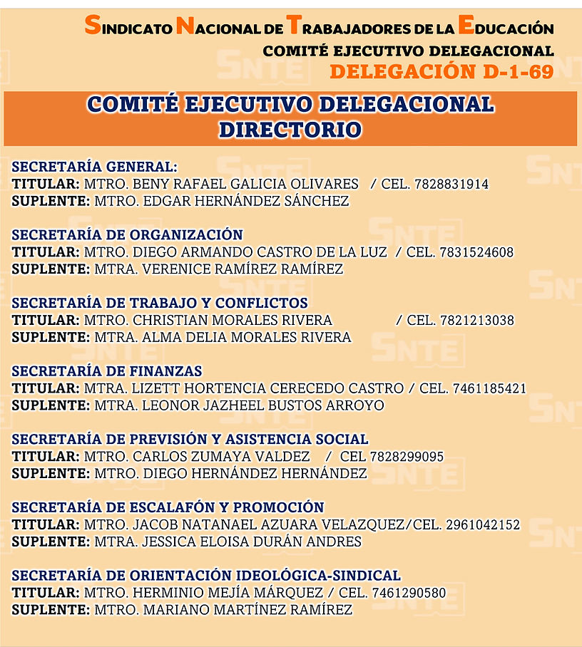 SNTE DELEGACIONAL.jpg