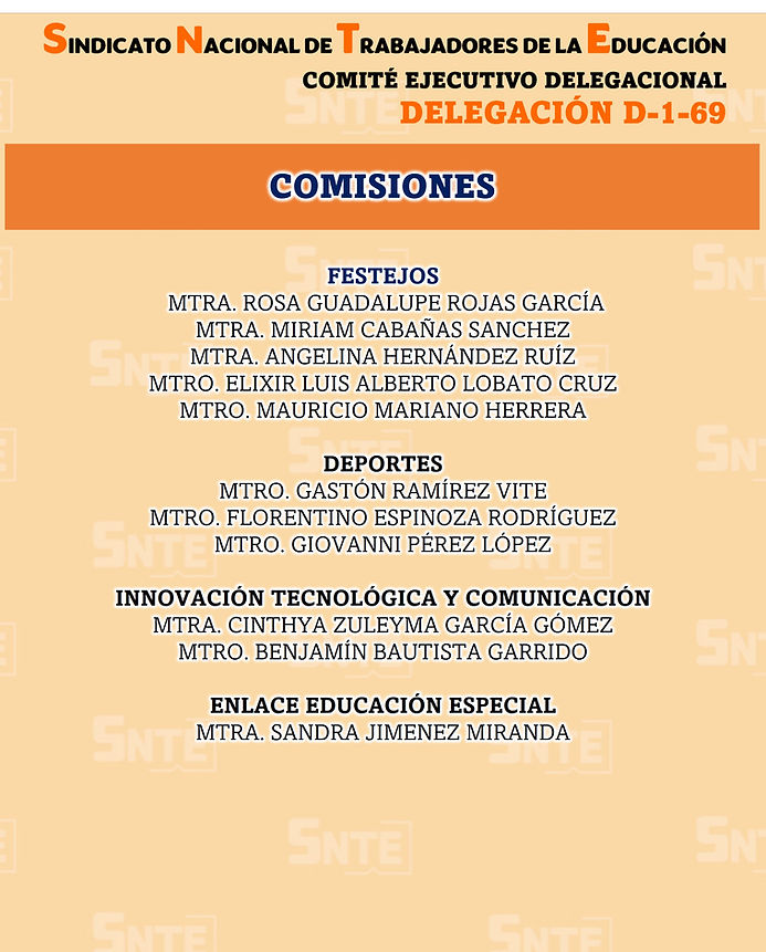 COMISIONES.jpg