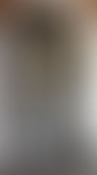 Day Three - Birthday Bash, Sailing, And More