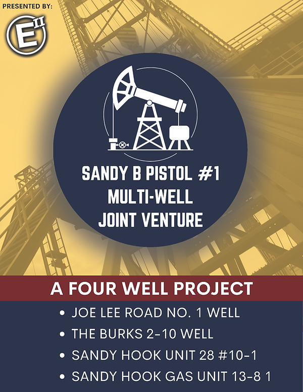 Sandy B Pistol #1 Multi-Well Joint Venture