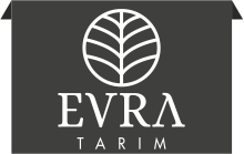 Soysal Tarım Gurubu