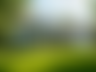 Finding Expert Real Estate Services in Indiana