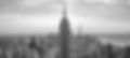 nyc_edited_edited.jpg