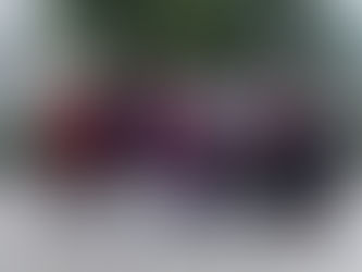 中目黒村美化委員会