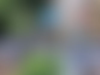 上目黒郷土まつり 一心行列 ボランティア警備