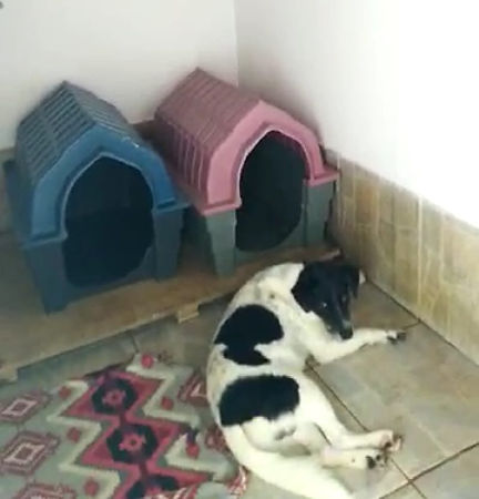 WhatsApp Image 2022-09-30 at 23.59.56 (2).jpeg