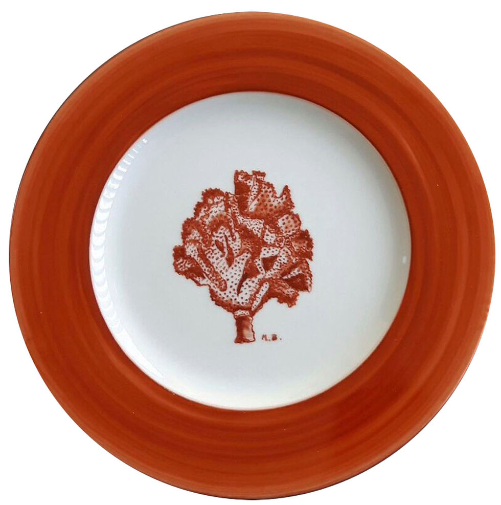 plato porcelana coral 2