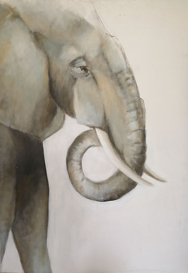 Grand éléphant.jpg