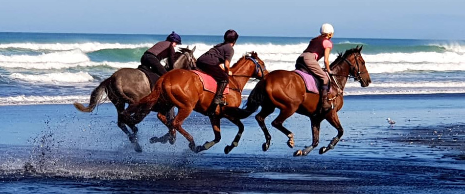 54433983_2075055742549217_55215736890337