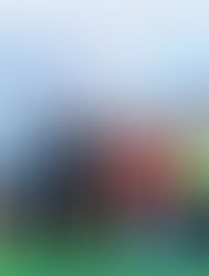 Sierra Leone’s President Julius Maada Bio Unveils Sierra Leone’s First Industrial Fishing Port in Historic Black Johnson Project.