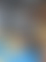 President Julius Maada Bio Visits One of Sierra Leone’s Largest Onion Farms, Boosts Feed Salone Drive.