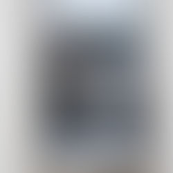 Ibn Battouta a Moroccan scholar and traveler visited 38 countries around the world.