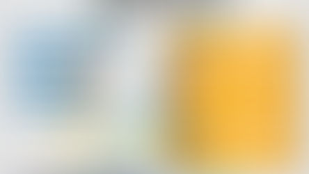 National Public Health Agency (NPHA)