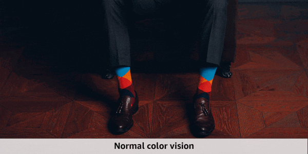 cvd simulator.gif