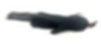 Thumbnail: Fat Black Pike Snack