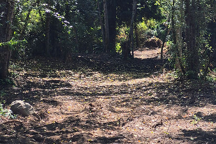 trails.jpg