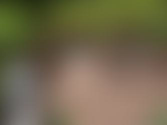 Why Pavers Outshine Asphalt in Style and Longevity