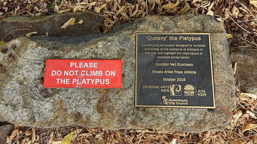 QUEANBEYAN & 'QUEANY' THE PLATYPUS NSW DAY THREE