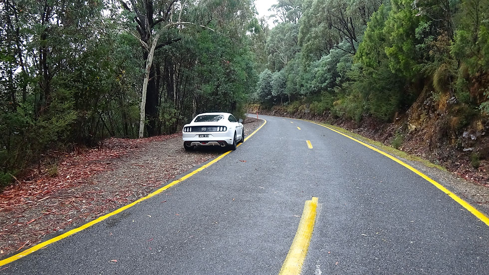 car parked beside road