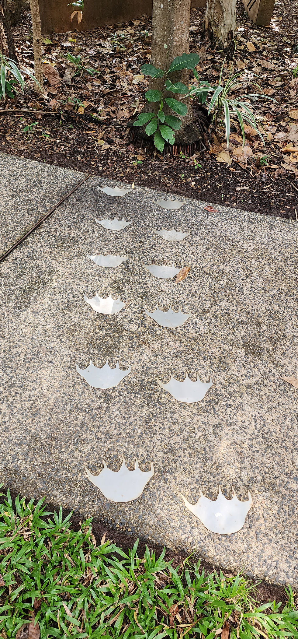 six crocodile prints on walkway