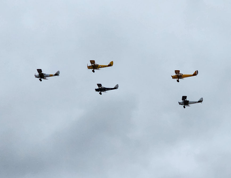 FIVE TIGER MOTHS IN CLOUDY SKY