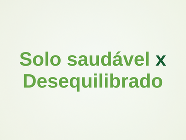 Propriedades físicas, químicas e biológicas de um solo saudável x desequilibrado: