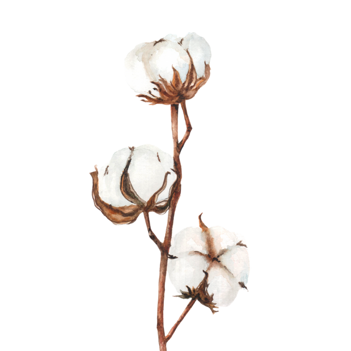 10.png