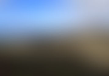 Montana de Oro Badger and Bluff Trial