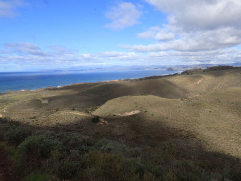 Montana de Oro Badger and Bluff Trial