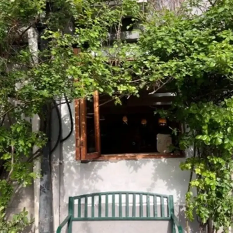 Leafy courtyard seating at RoOM cafe in Beijing