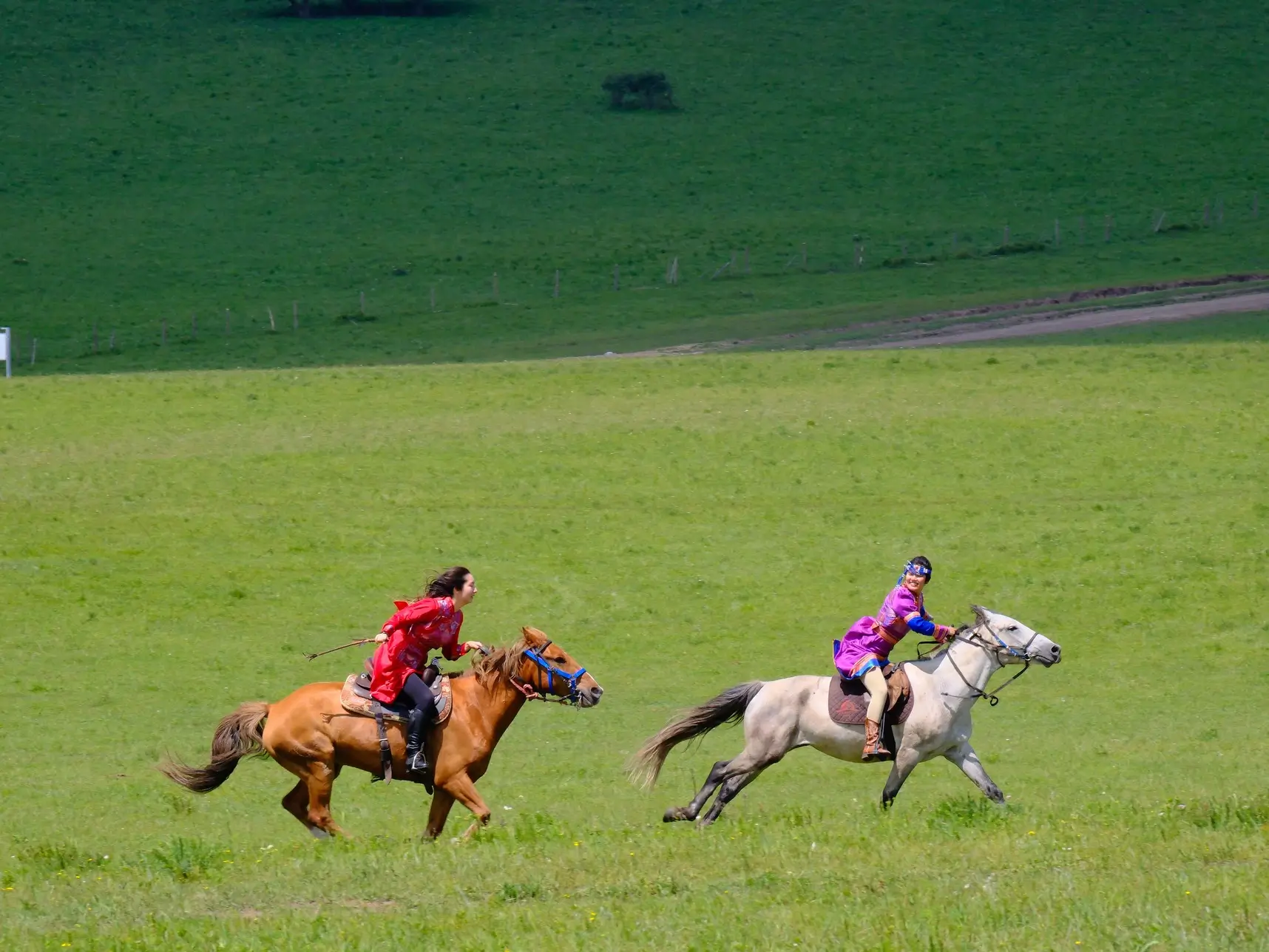 Horseback riders galloping across the green grasslands of Inner Mongolia during a traditional horse riding experience in China