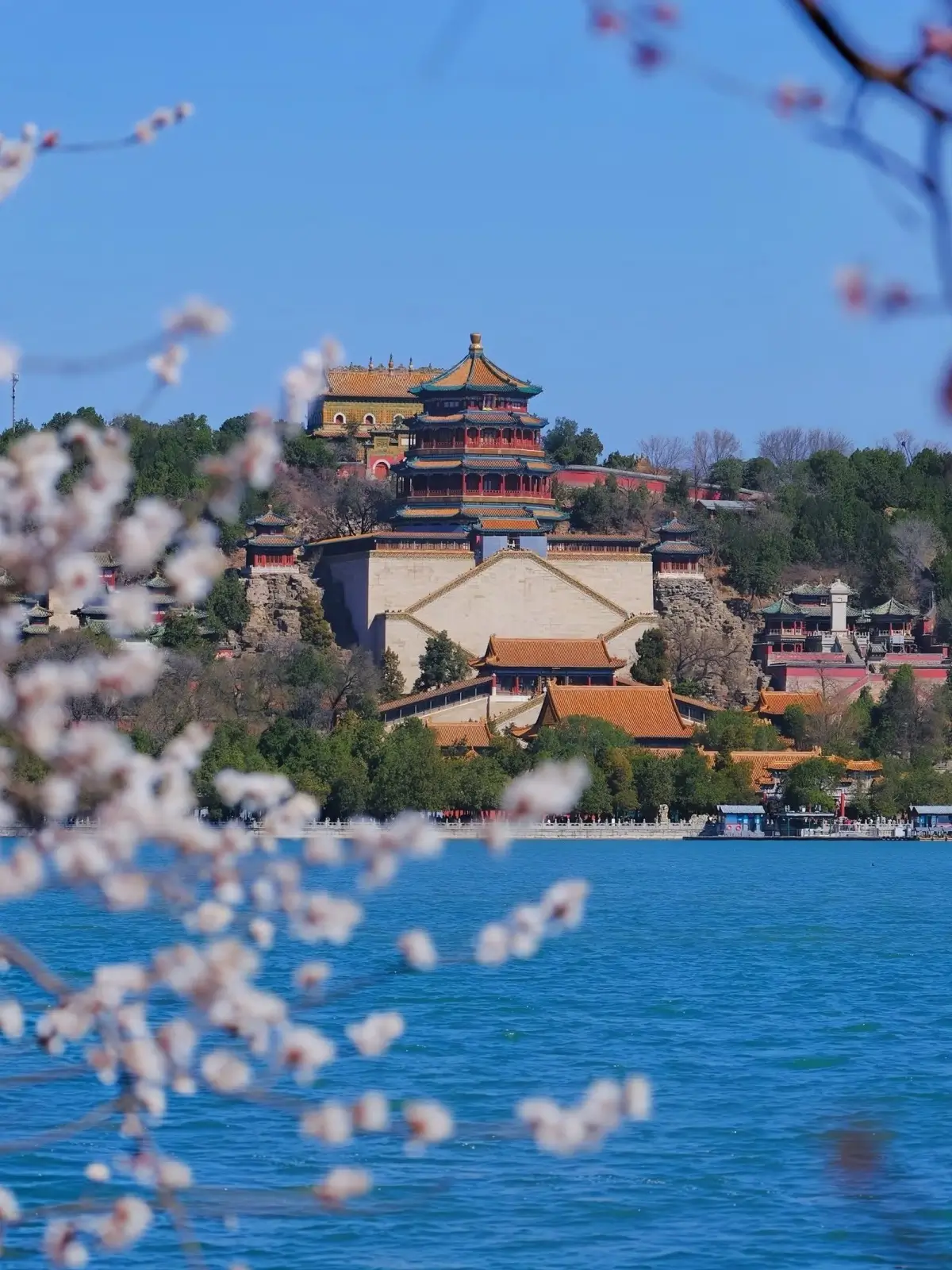 The Tower of Buddhist Incense framed by pink peach blossoms across Kunming Lake, Beijing.