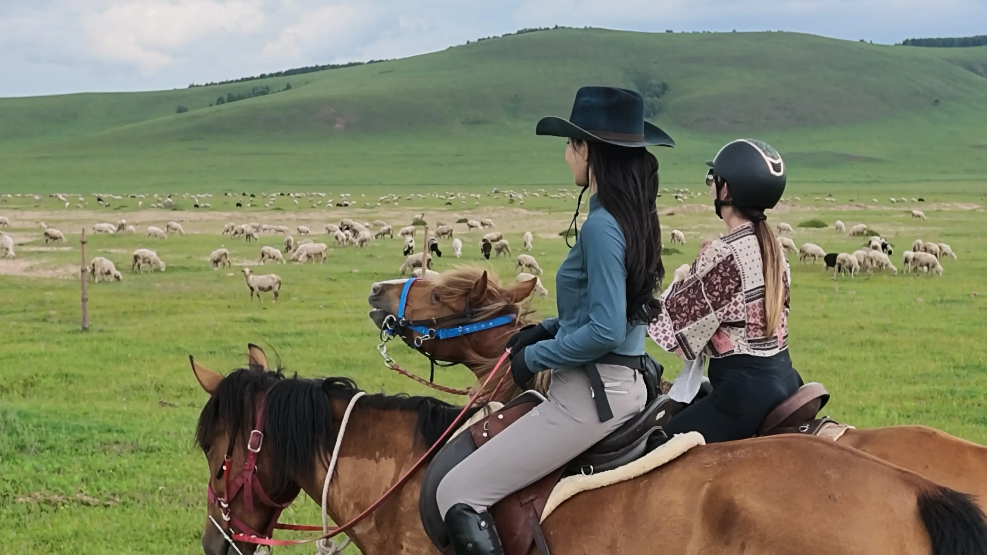 Riders enjoying horseback riding across the summer grasslands of Inner Mongolia, China