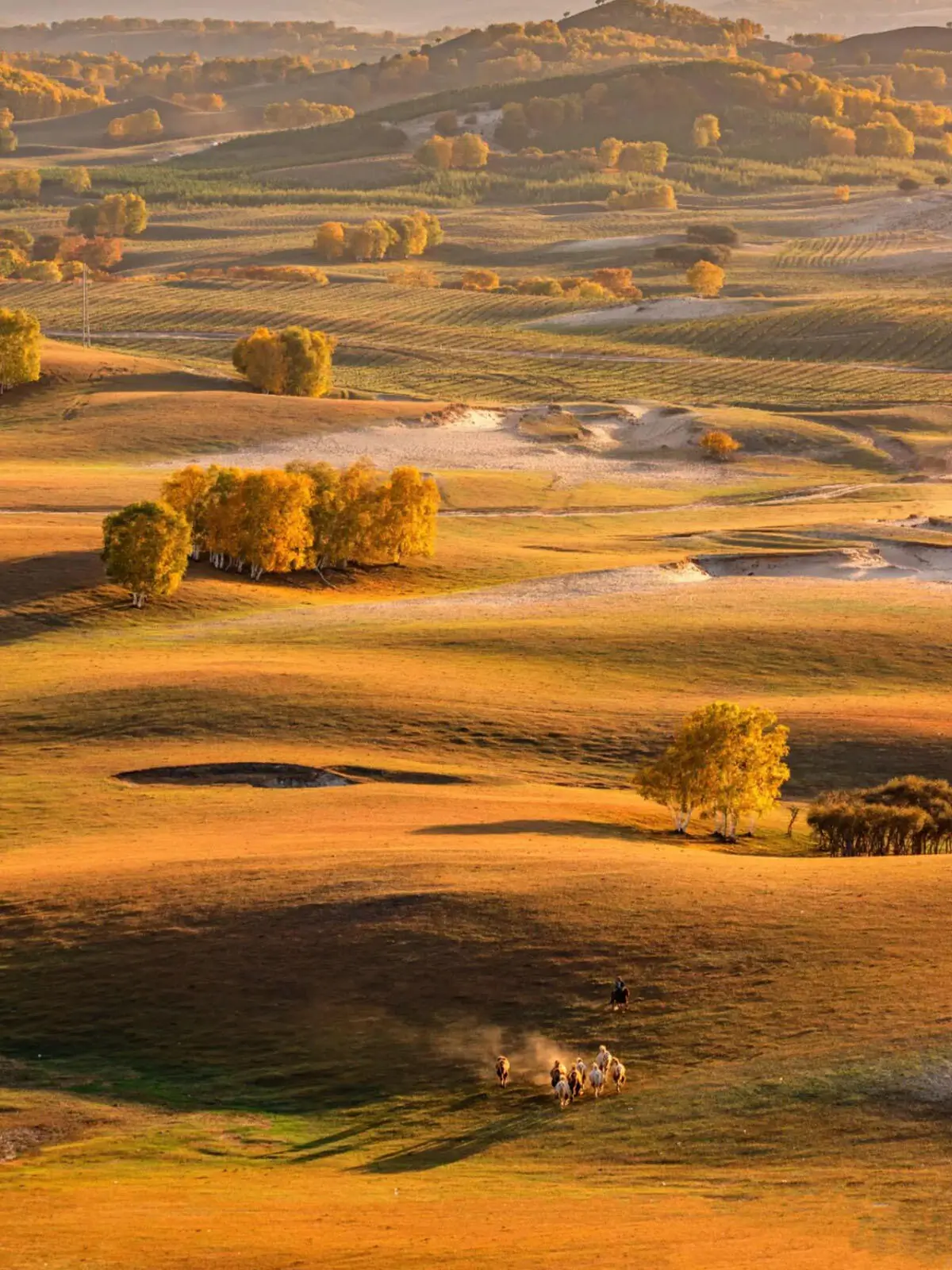 Autumn landscape of Ulan Butong grassland in Inner Mongolia with golden hills and riders exploring the open prairie on horseback