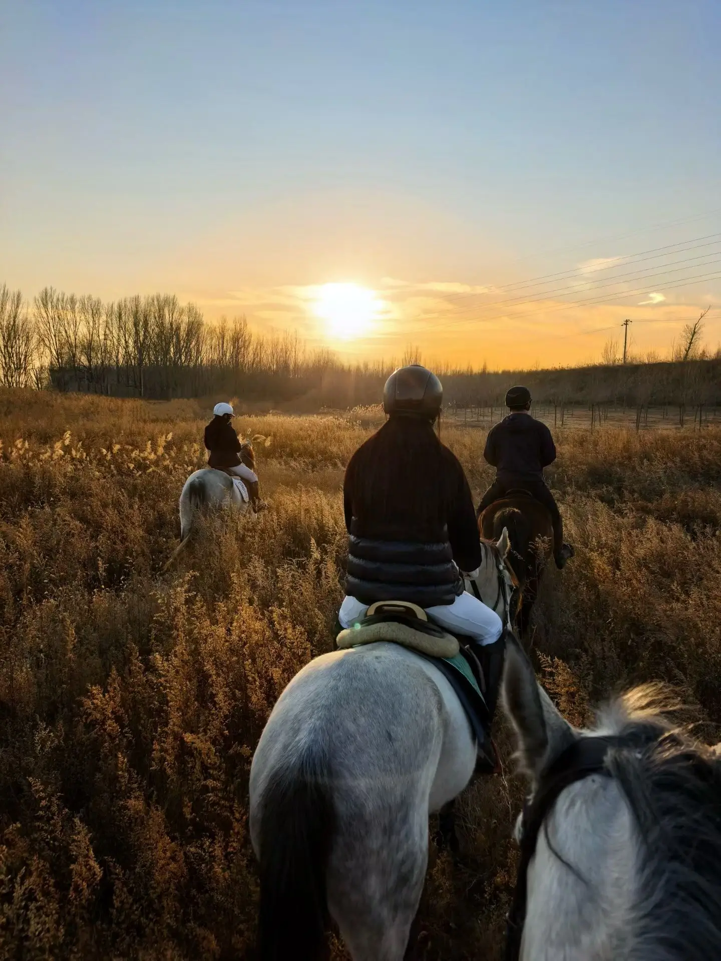Ride a horse with friends