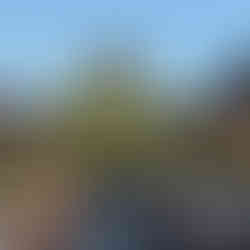 fancy restaurant in Beijing temple