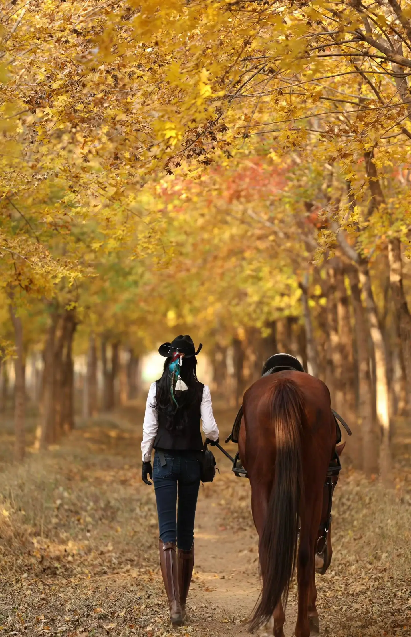 Autumn horseback riding near Beijing through golden forests and scenic countryside landscapes