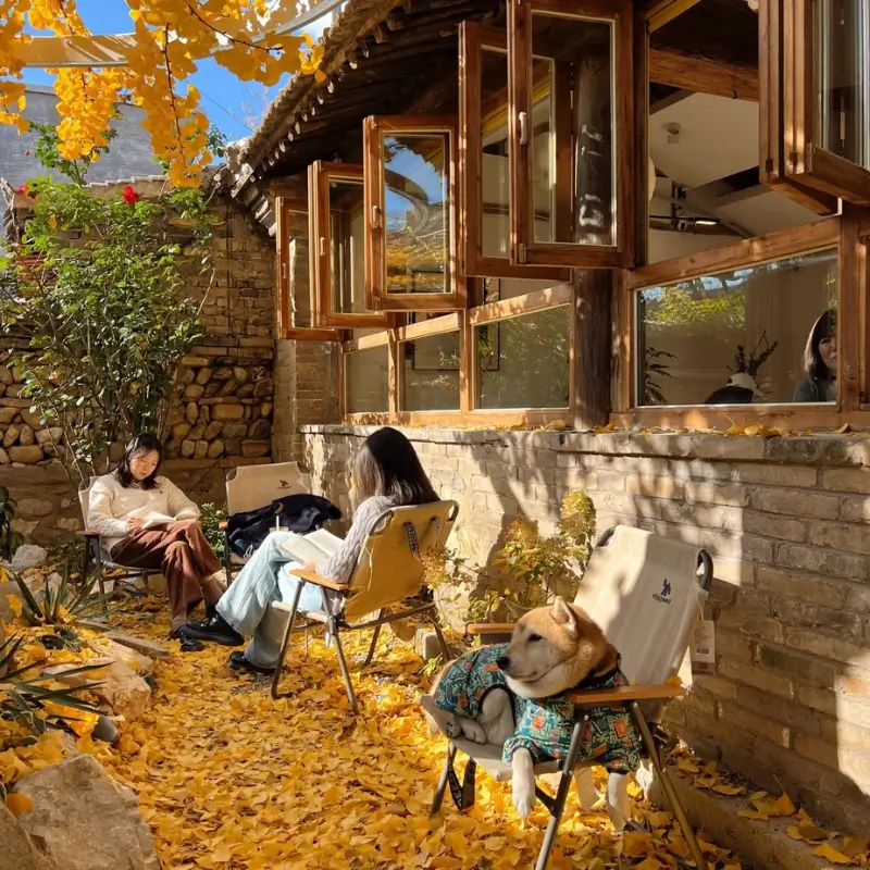 Outdoor courtyard seating at Fu San Coffee in Beijing