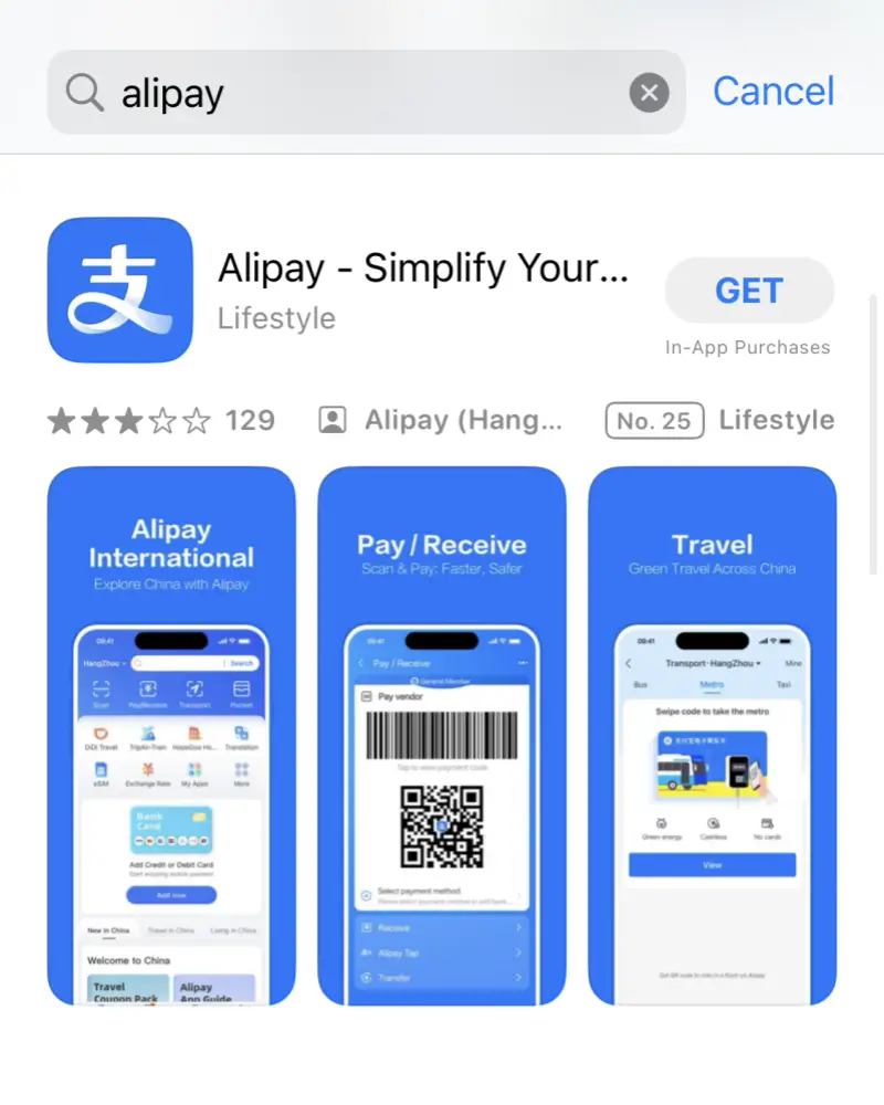Alipay App Store download page for overseas users