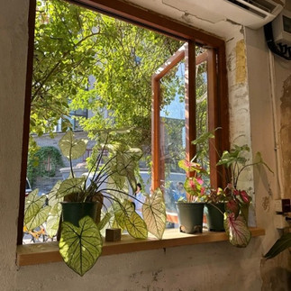 Hidden cafe in a Beijing hutong alley with local style